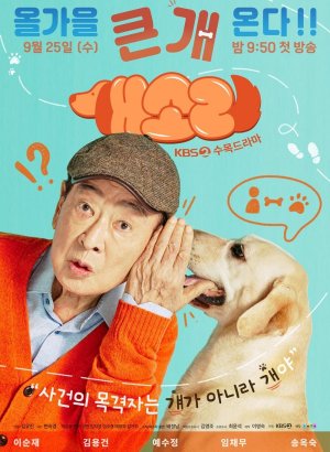 Фото дорамы Пёсель знает всё